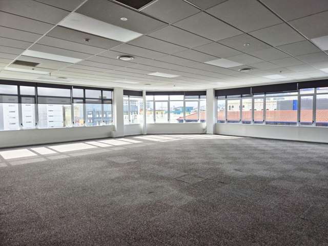 15 Walter Street Te Aro_2