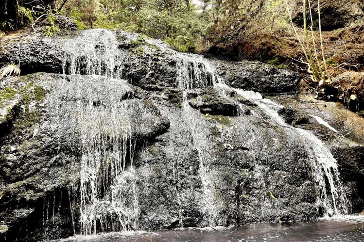 101 Guy Road Kaipara Flats_2