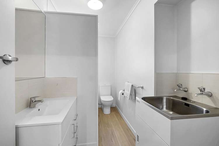 290d Carrington Street Vogeltown_9