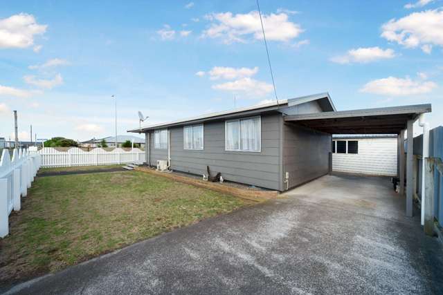 33 Raupo Street 1200_2