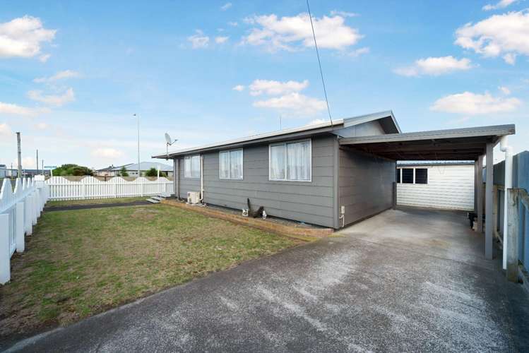 33 Raupo Street 1200_2