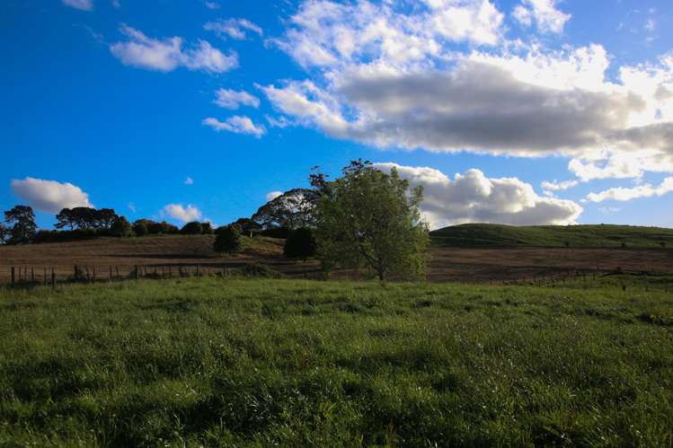 1042 Rangiuru Road_2