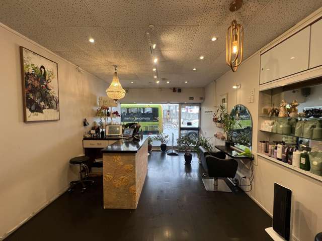 59A Cambridge Terrace Te Aro_1