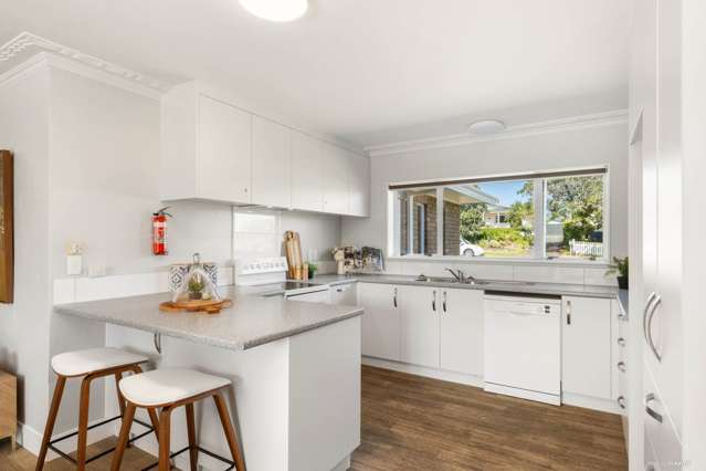 128 Wellington Street Pukekohe_3