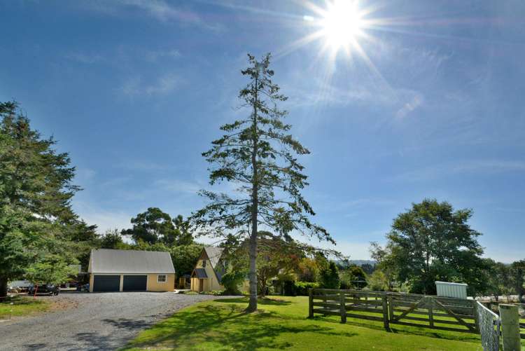 27 Weir Street Green Island_3