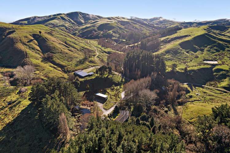 145 Mangarei Road Bideford_19