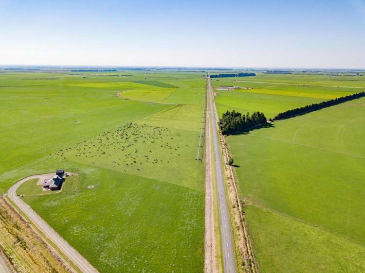 2247 Tinwald Westerfield Mayfield Road Ashburton_5