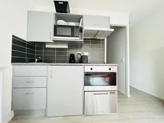 147 Hobson street 10015_2