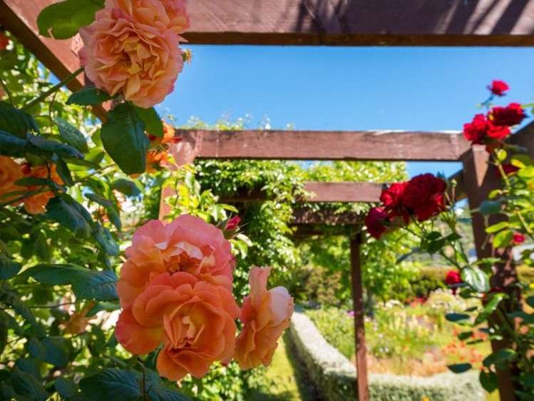 13 Miro Street Rarangi_11