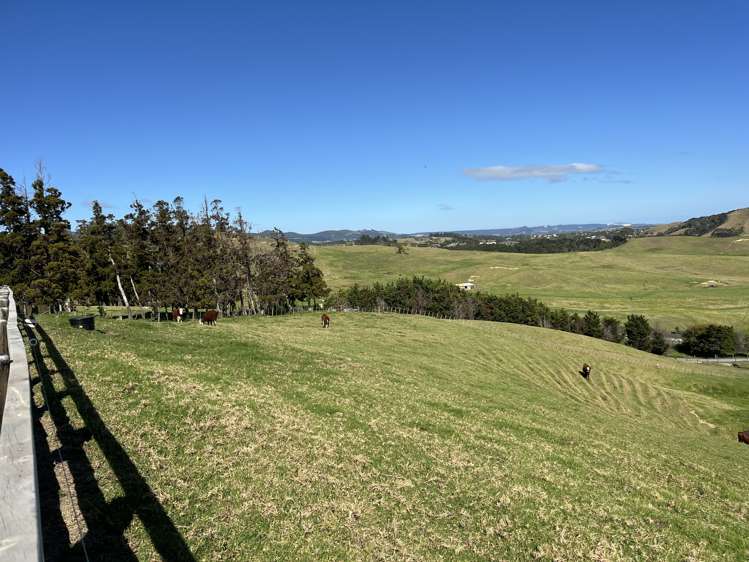 331 Church Road Kaitaia_45