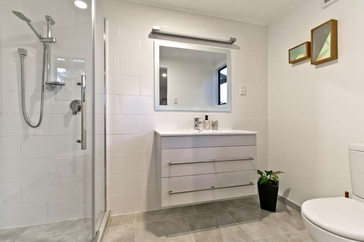 356 Wright Road Dairy Flat_14