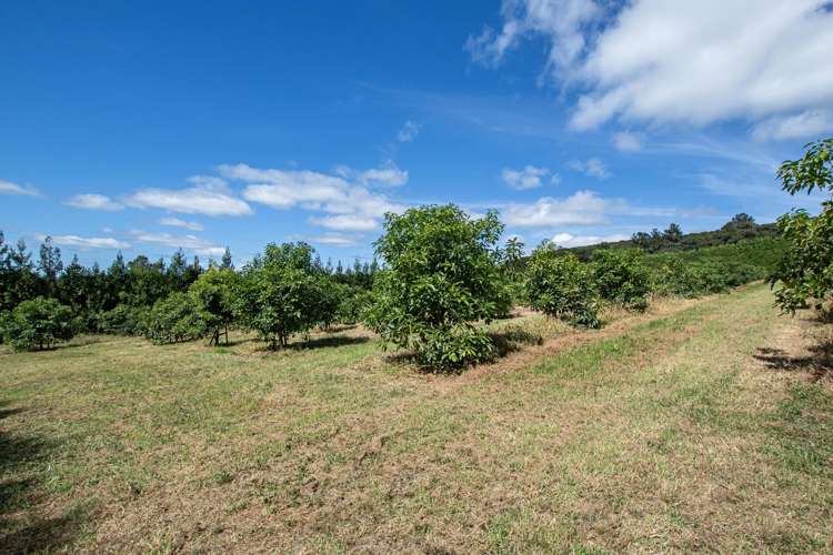 88 Stone Wall Rse Maungatapere_22