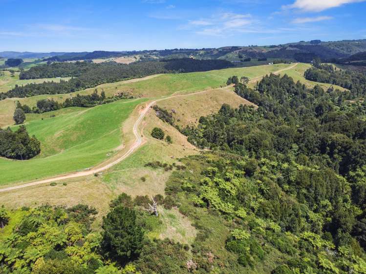 870 Mangati Road Pirongia_40