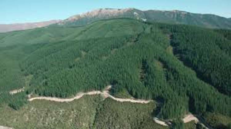 1068 Otaki Gorge Road Otaki_5