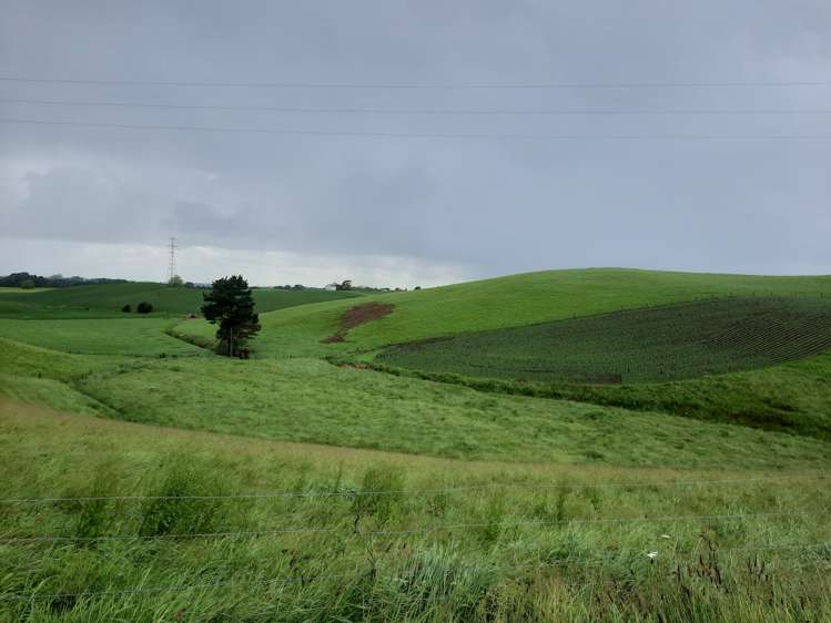 35 Grove Access Road Karamu_39