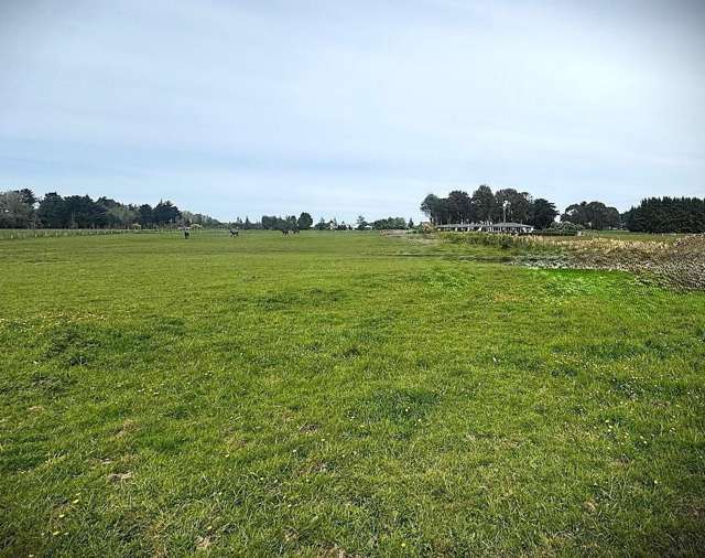 234 Myross Road Myross Bush_3