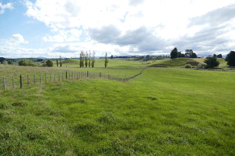 447 Otawhao Road Takapau_2