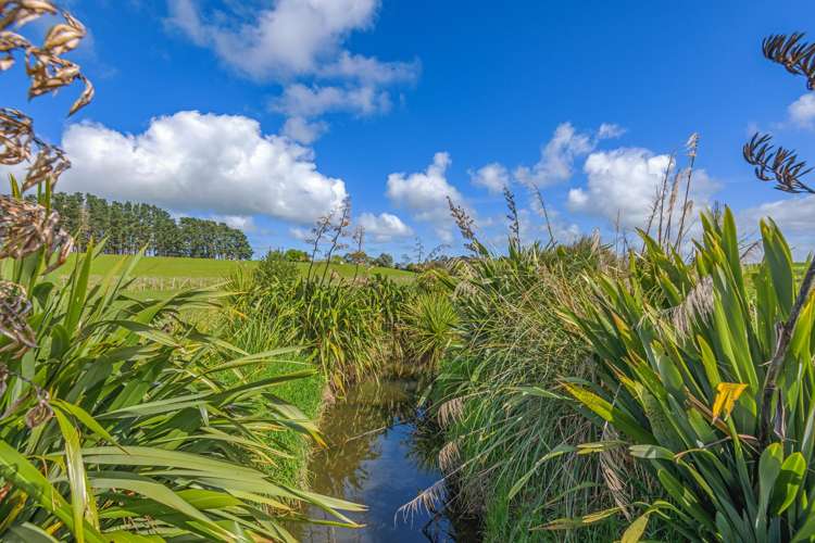 268 Wanganui Road Marton_20