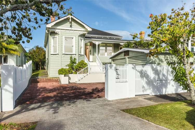 45 Dexter Avenue Mount Eden_0