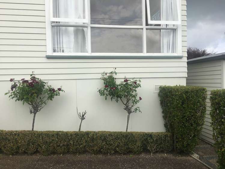 455b Richardson Road Mount Roskill_11