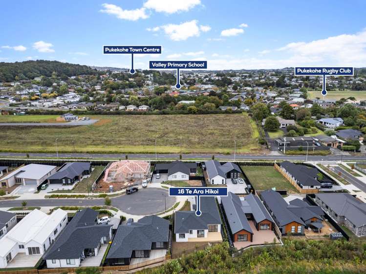 16 Te Ara Hikoi Pukekohe_17
