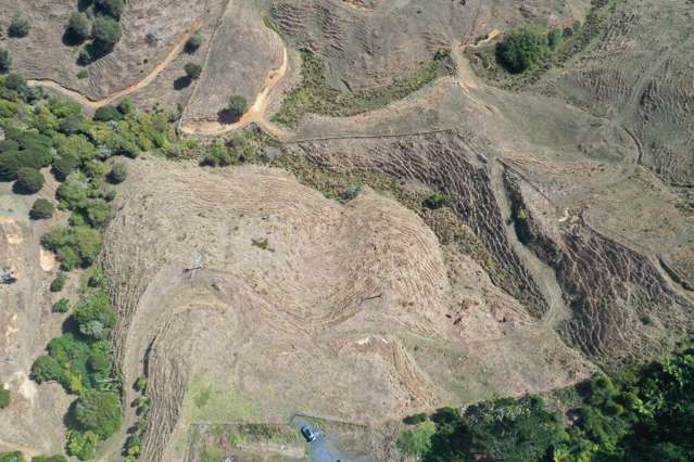 1017 Waingaro Road Glen Massey_2