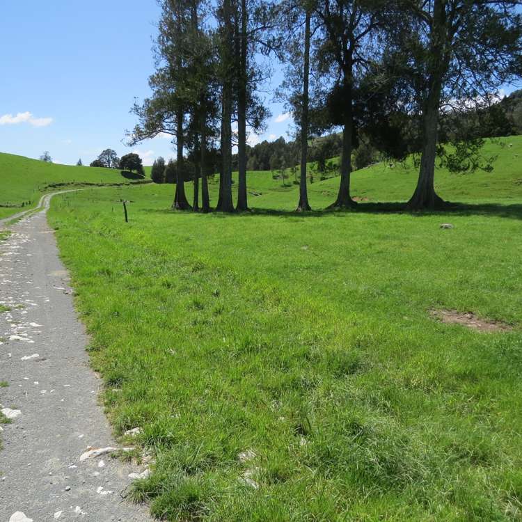 Kahuwera Road Piopio_15