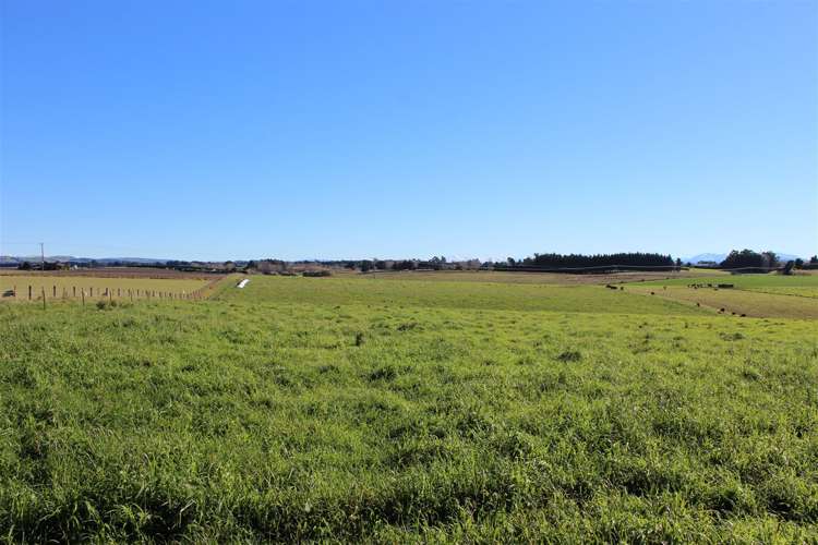 278 Beaconsfield Road Fairview_21