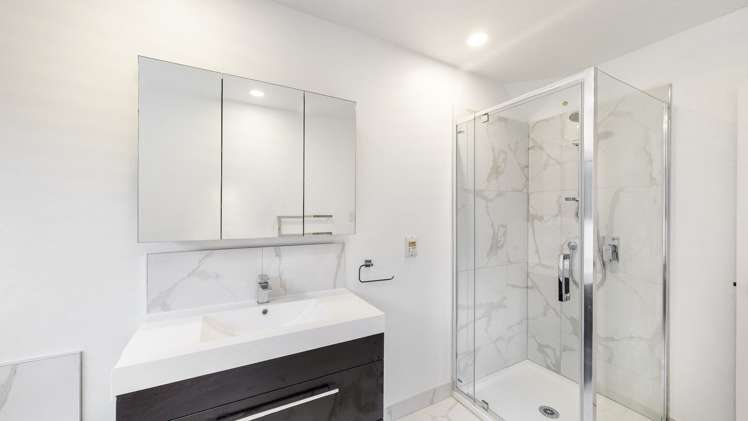 65 Nevay Road Miramar_13