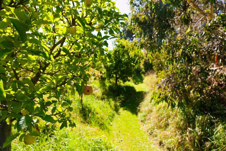 317 Caseys Road Blind River_29