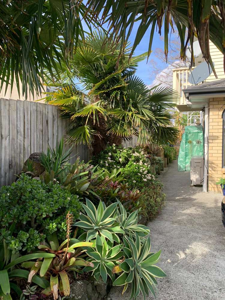 45j Brandon Road Glen Eden_8