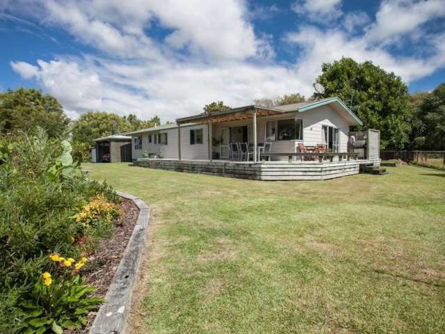 39 Mills Road Matangi_2