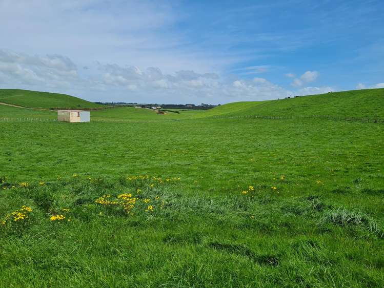 0n Upper Stuart Road_5