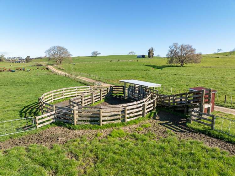 Morrinsville-Tahuna Road Morrinsville_11