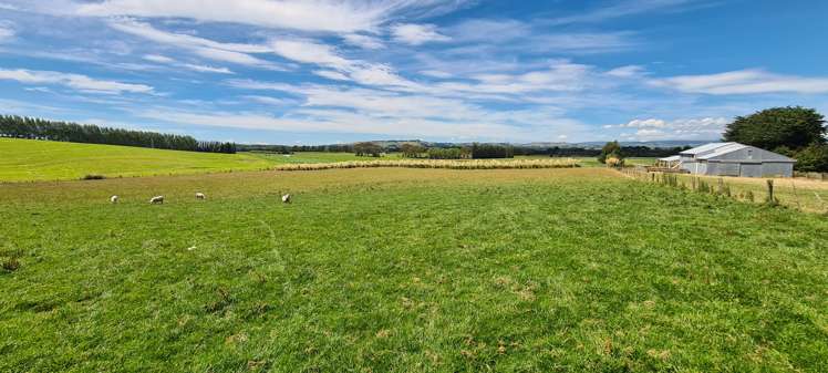 286 Brydone Glencoe Road Gore Surrounds_2