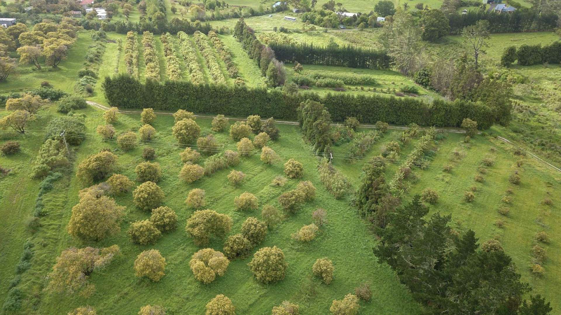 405 Tara Road Mangawhai_0