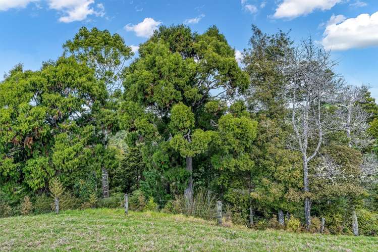 57 Pukenui Road Ngunguru_6