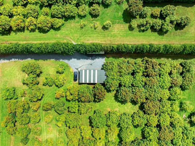 36 Watrous Downs Maungatapere_32