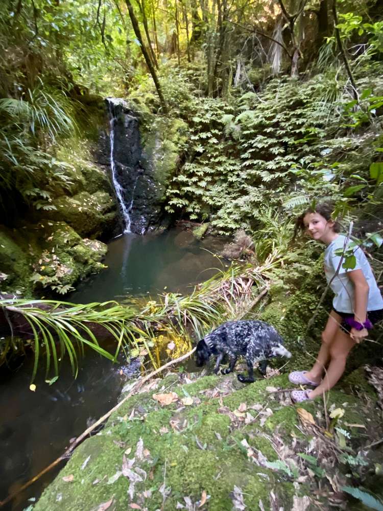 59 Ashton Road & Birdsall Road, Whangateau Leigh_14