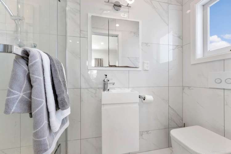 486 Hillsborough Road Mount Roskill_10