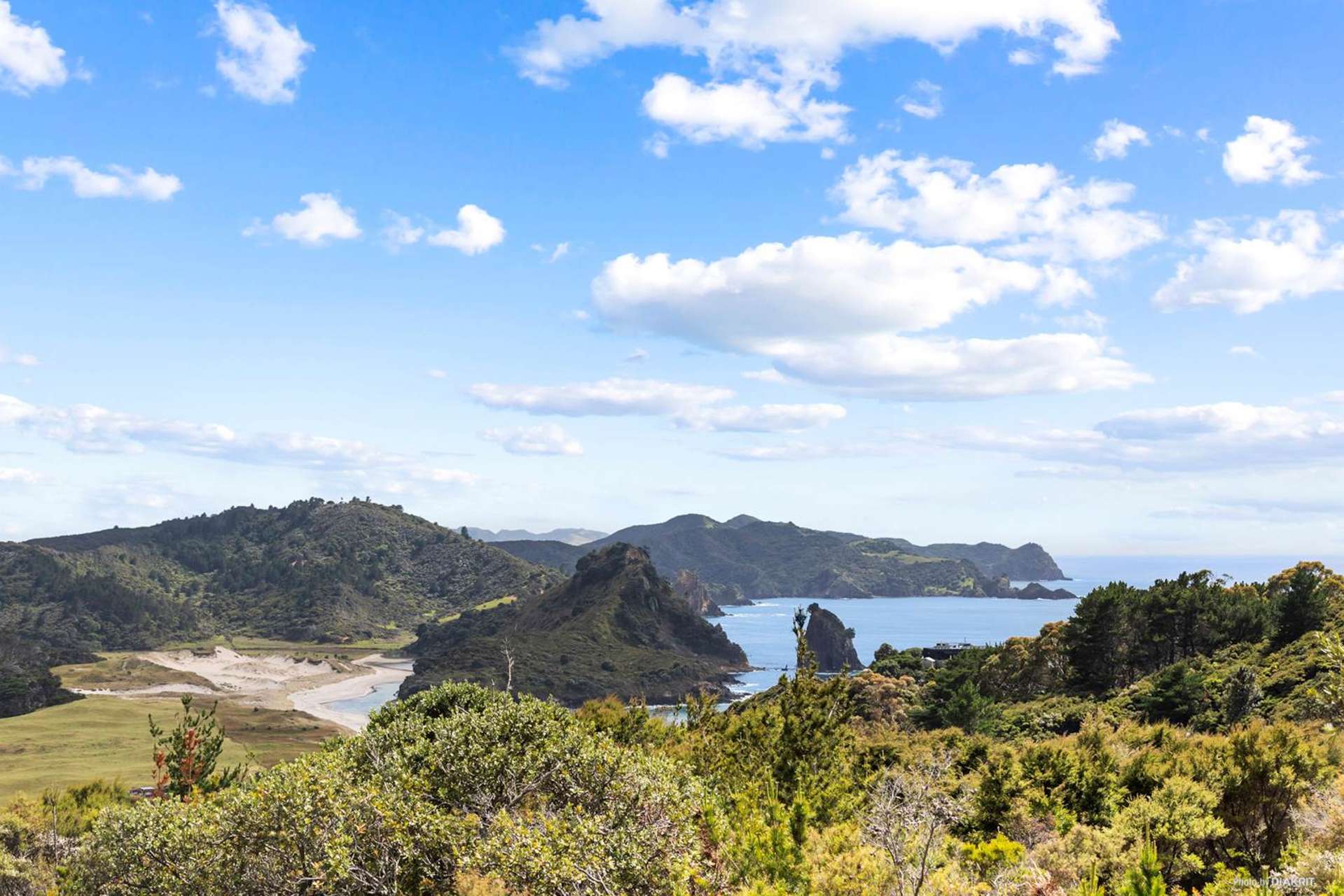 Navy House Gray Road Great Barrier Island_0