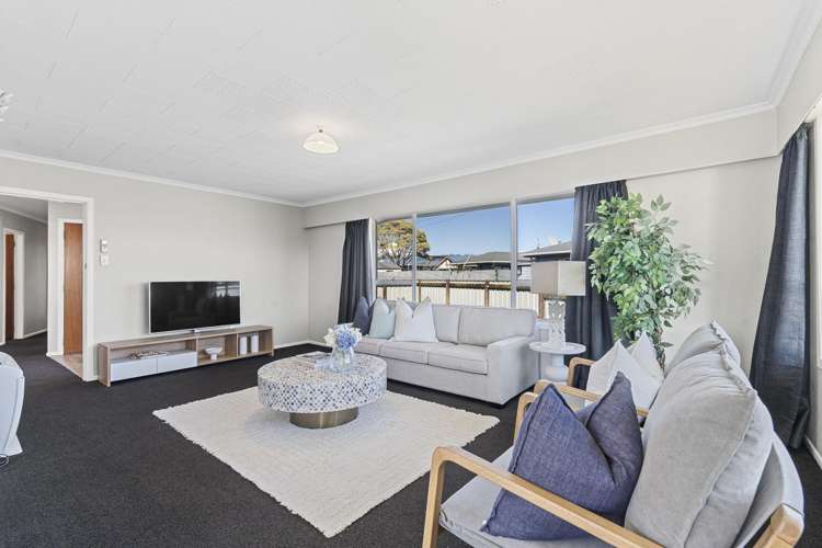 12 Saxton Road Upper Vogeltown_10