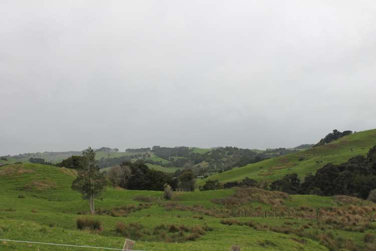 1784 State Highway 12 Paparoa_7