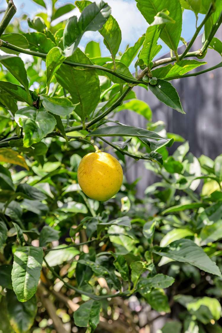 112 Marsden Point Road Ruakaka_22