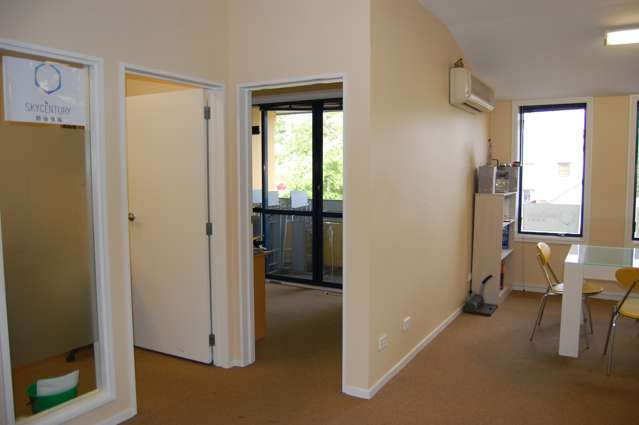 134 Riccarton Road, Riccarton Riccarton_3