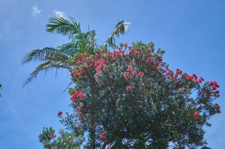 4004B State Highway 1 Pukenui_51