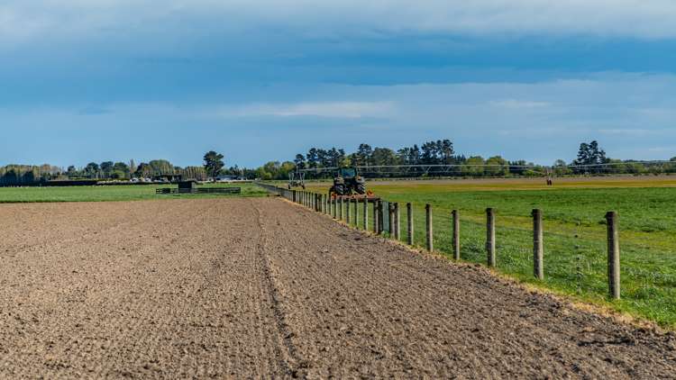 Selwyn Lake Road Leeston_22