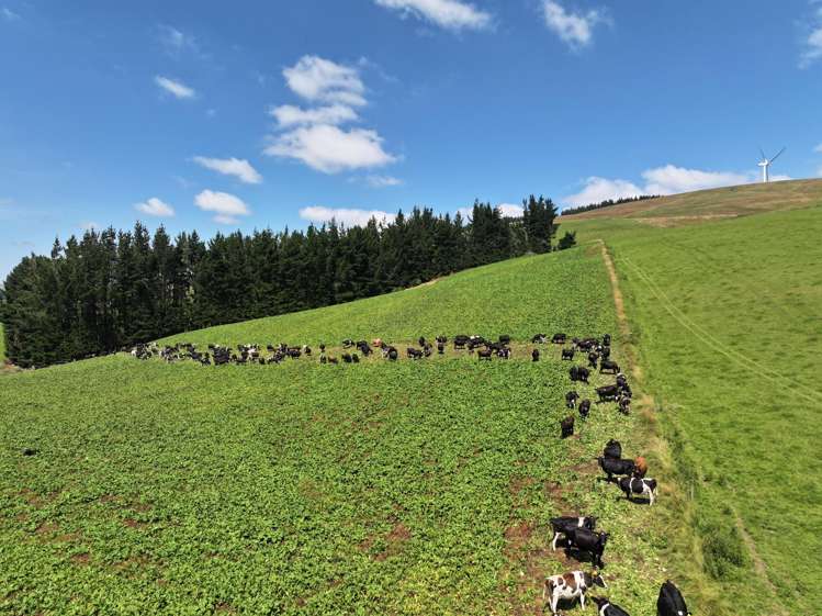 90 Rosemarkie Road Gore_12