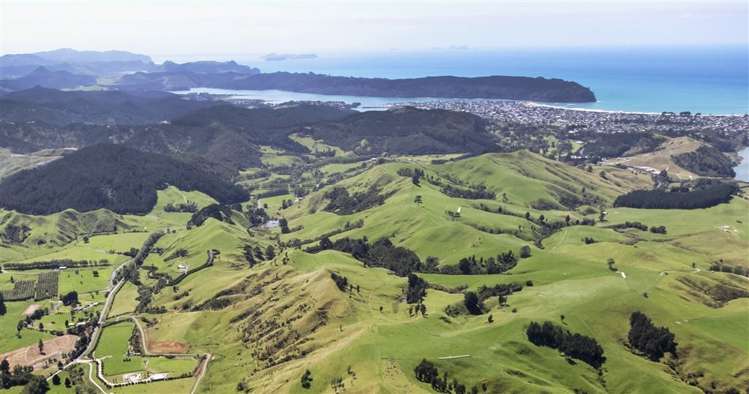 273 Wentworth Valley Road Whangamata_8