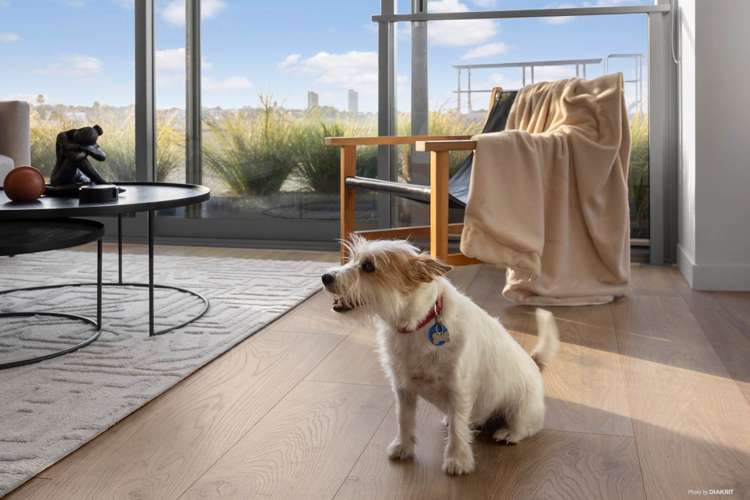 409/45 Union Street Auckland Central_13